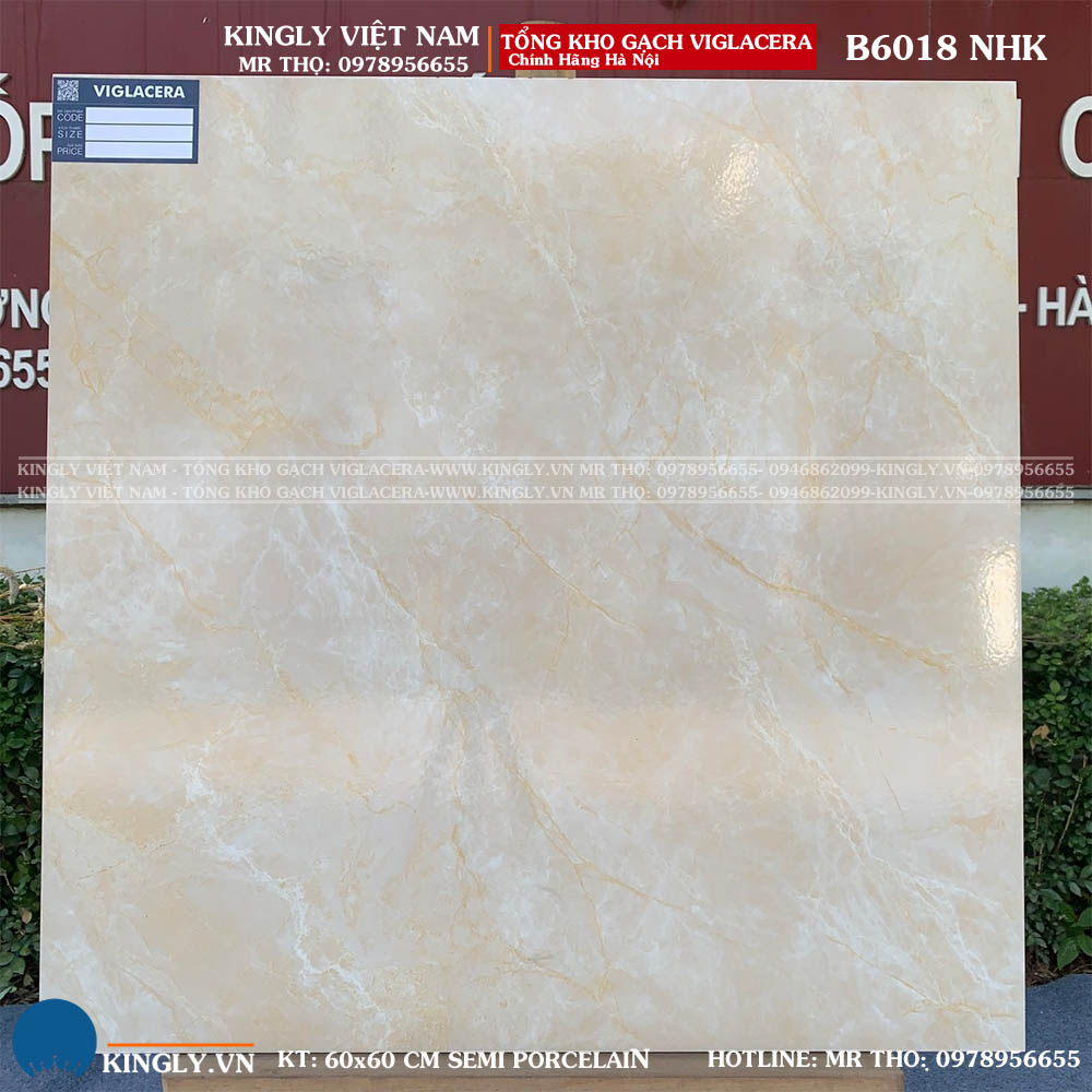 Gạch lát nền Viglacera 60x60 B6018 Loại A1